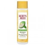 Burt’s Bees More Moisture Baobab Shampoo